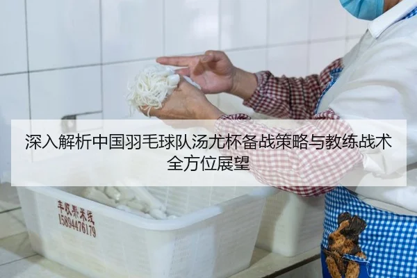 深入解析中国羽毛球队汤尤杯备战策略与教练战术全方位展望